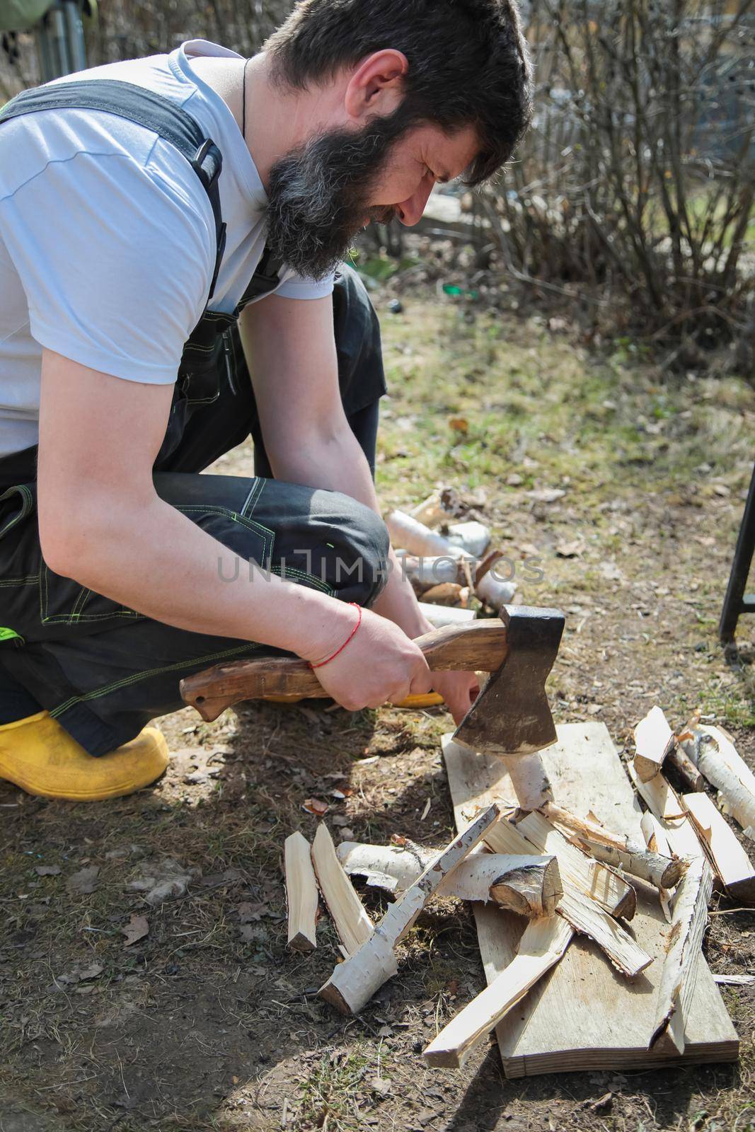 A bearded man in overalls chopping wood for a fire. Birch branches. Close-up.