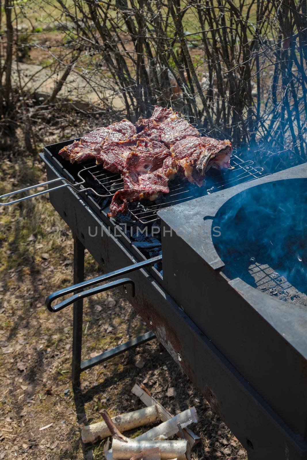 Chunks of meat are fried on a grill on a large black grill. Picnic. Close-up