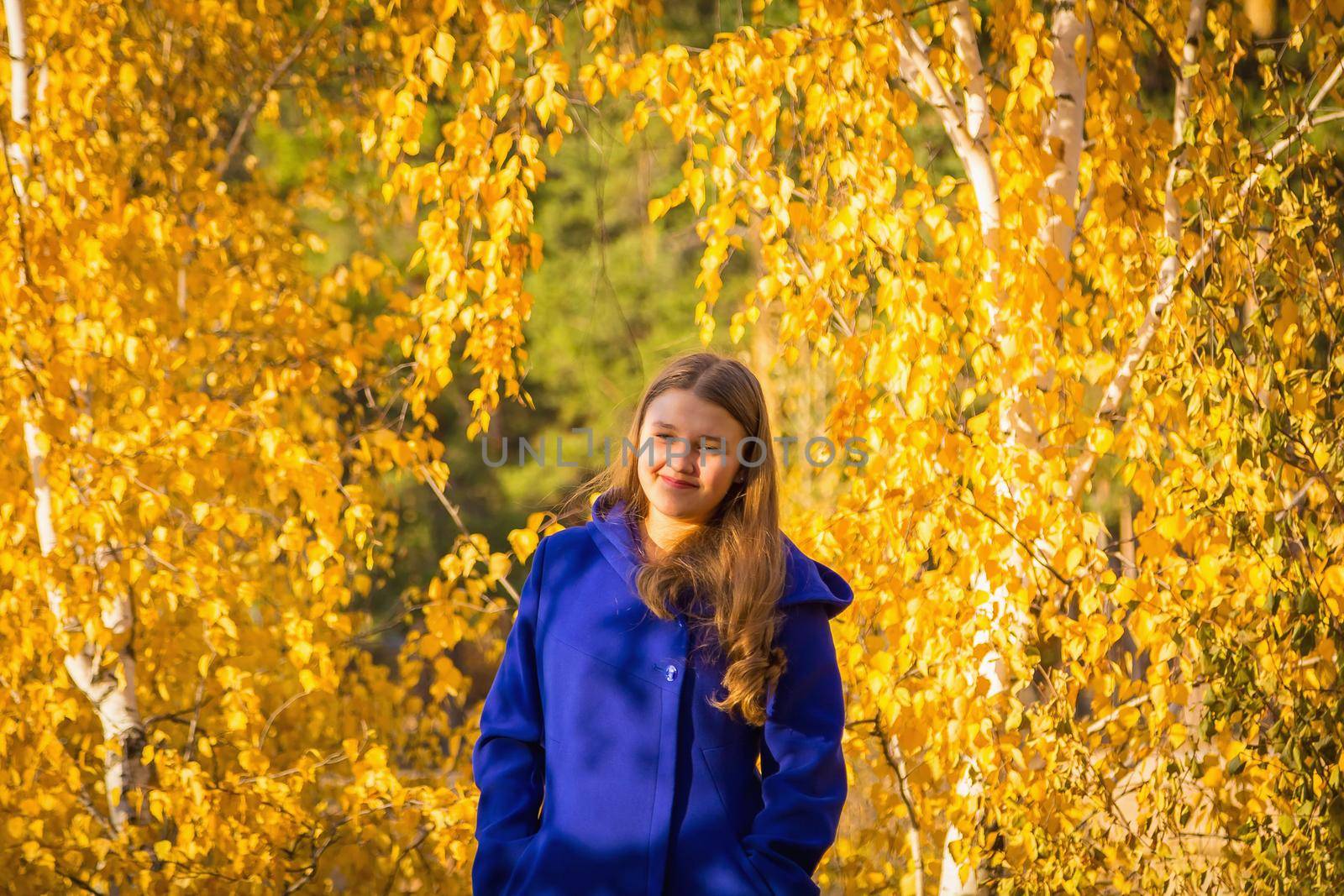 A young girl walks in the autumn park, stands behind a tree. The trees have yellow leaves.