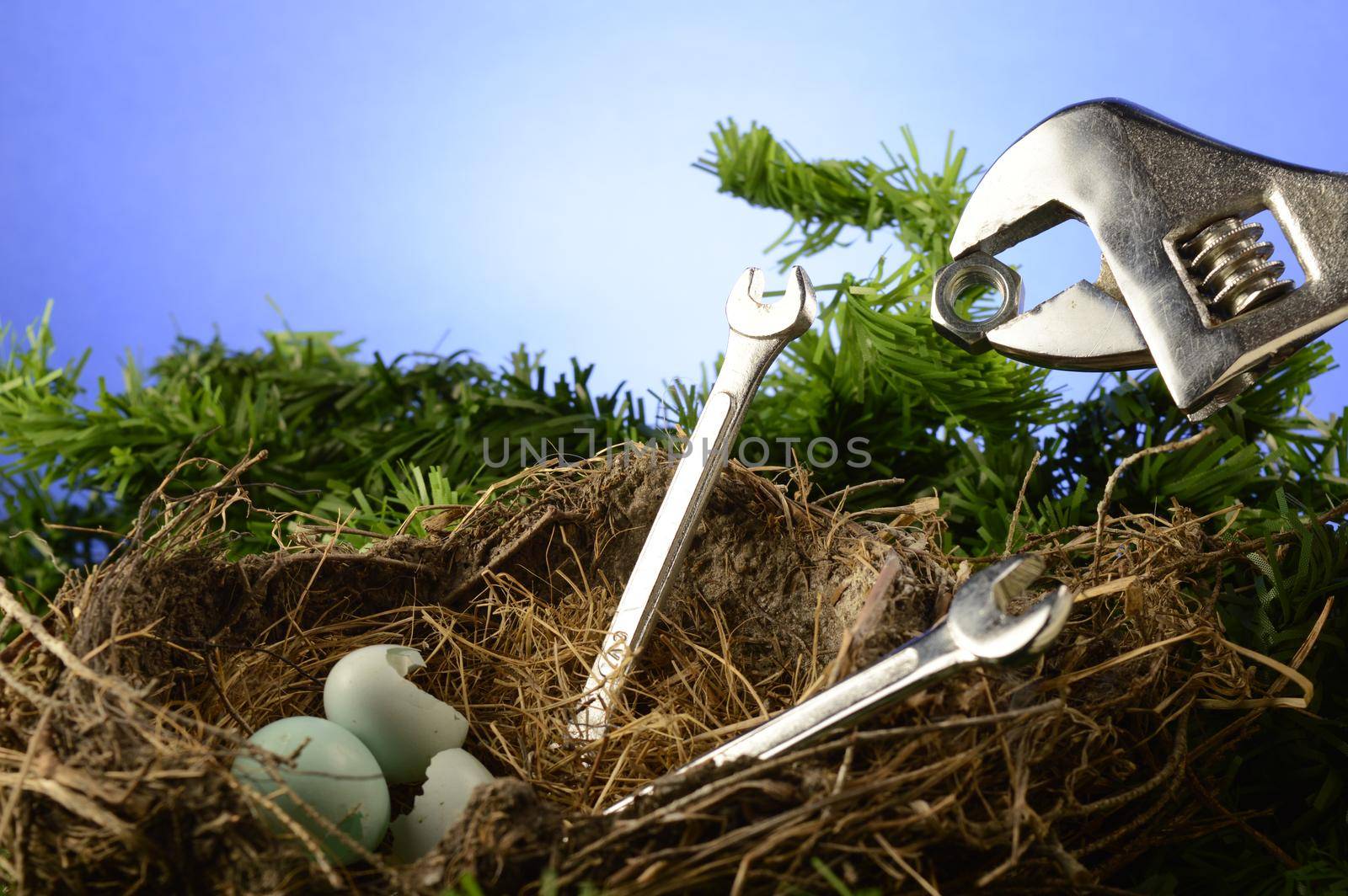 A conceptual image for feeding time at a birds nest using wrenches and a nut for food.