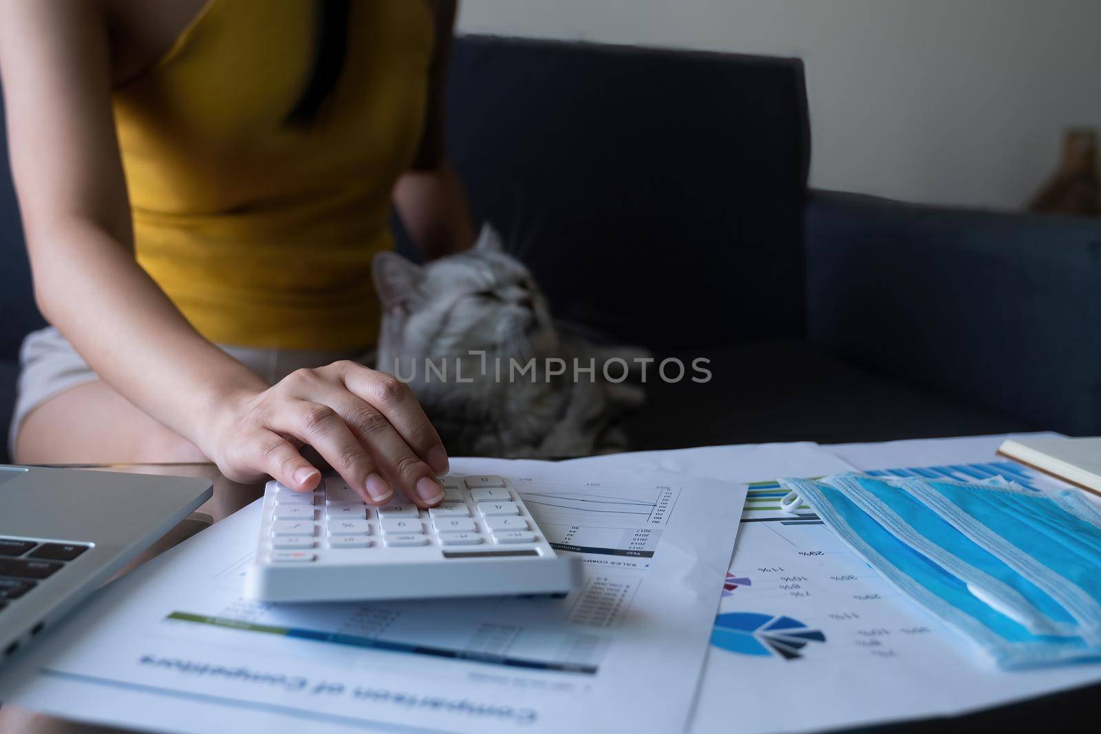 casual woman in yellow dress making audit while work from home with her cat