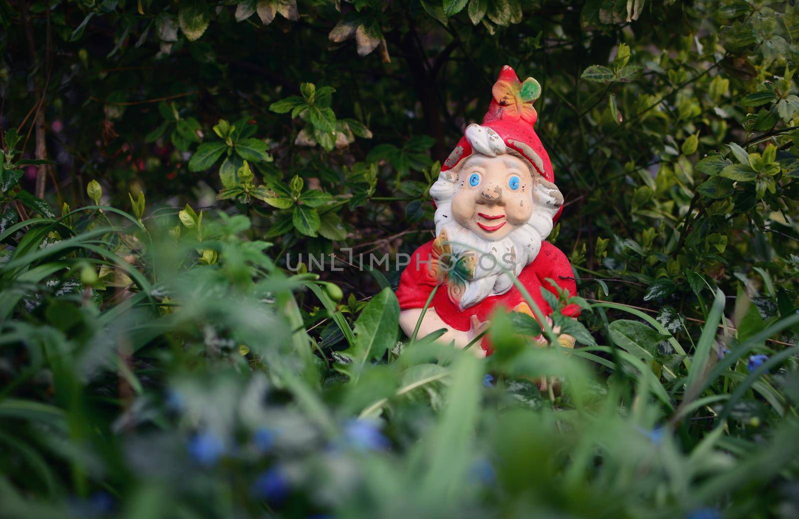 Red ceramic gnome in the garden by hamik