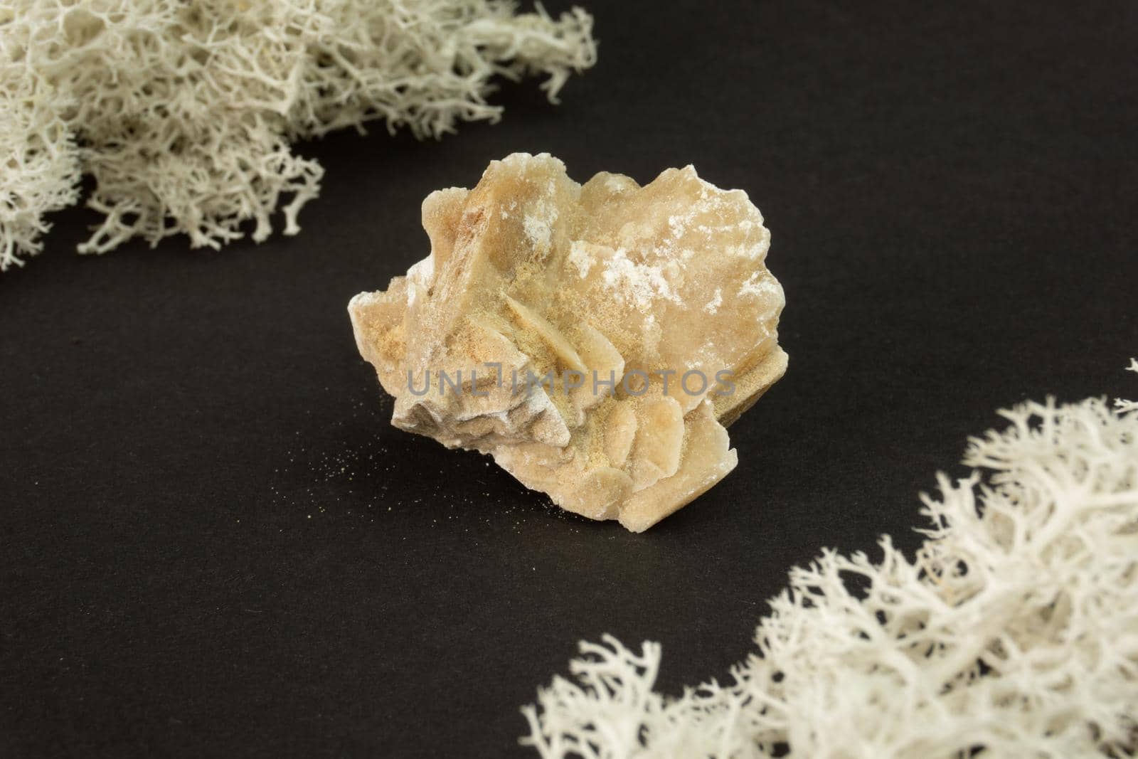 Desert rose crystal from Tunisia. Natural mineral stone on black background. Mineralogy, geology, magic of stones, semi-precious stones and samples of minerals. Close-up macro photo