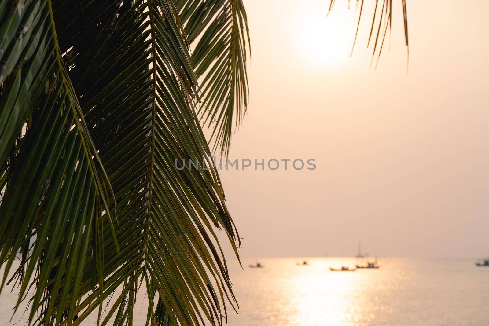 Sunset over the sea with Coconut palm tree on the tropical beach and orange pastel sky. by sirawit99