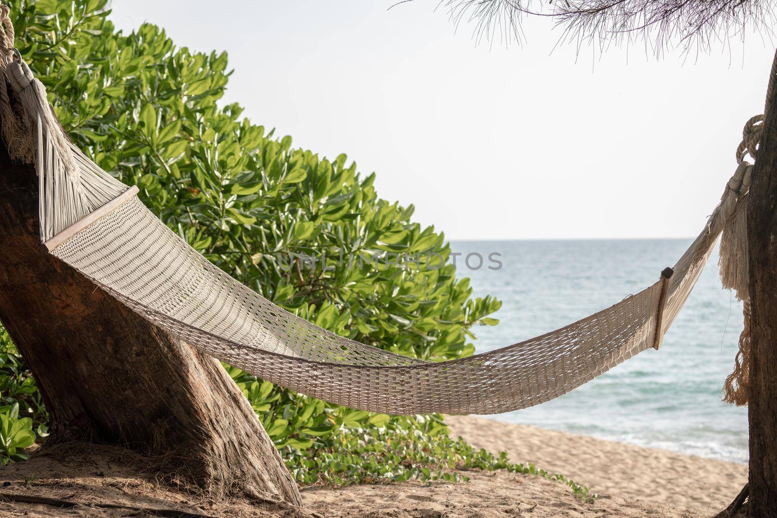 Hammock swing between trees on a tropical island with beautiful beach. by sirawit99