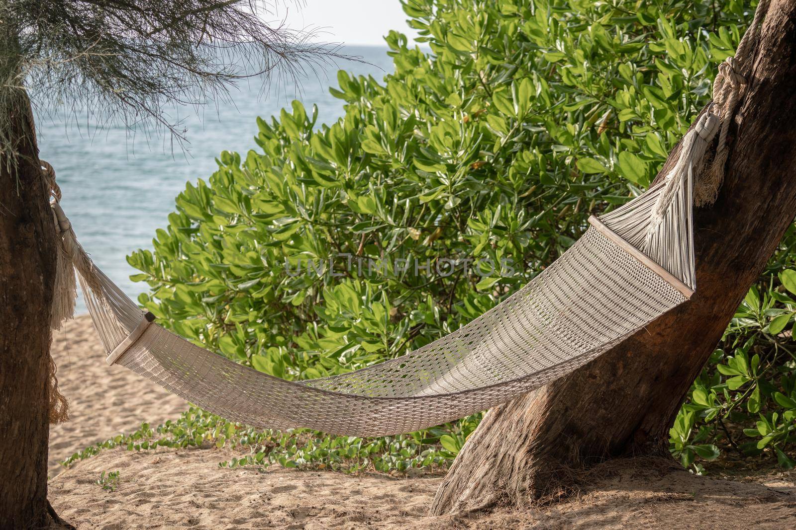 Hammock swing between trees on a tropical island with beautiful beach.