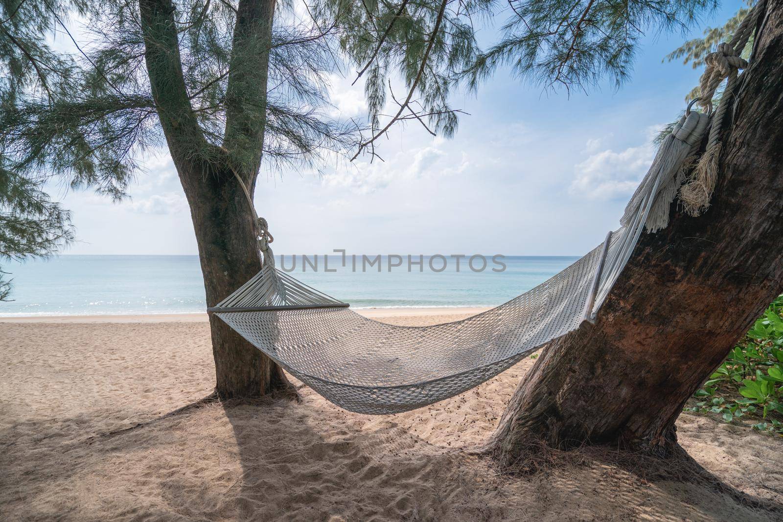 Hammock swing between trees on a tropical island with beautiful beach. by sirawit99