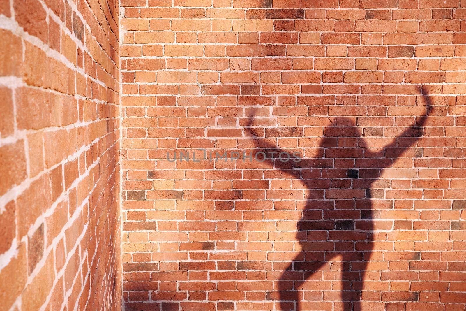 Shadow of a man on a brick wall background