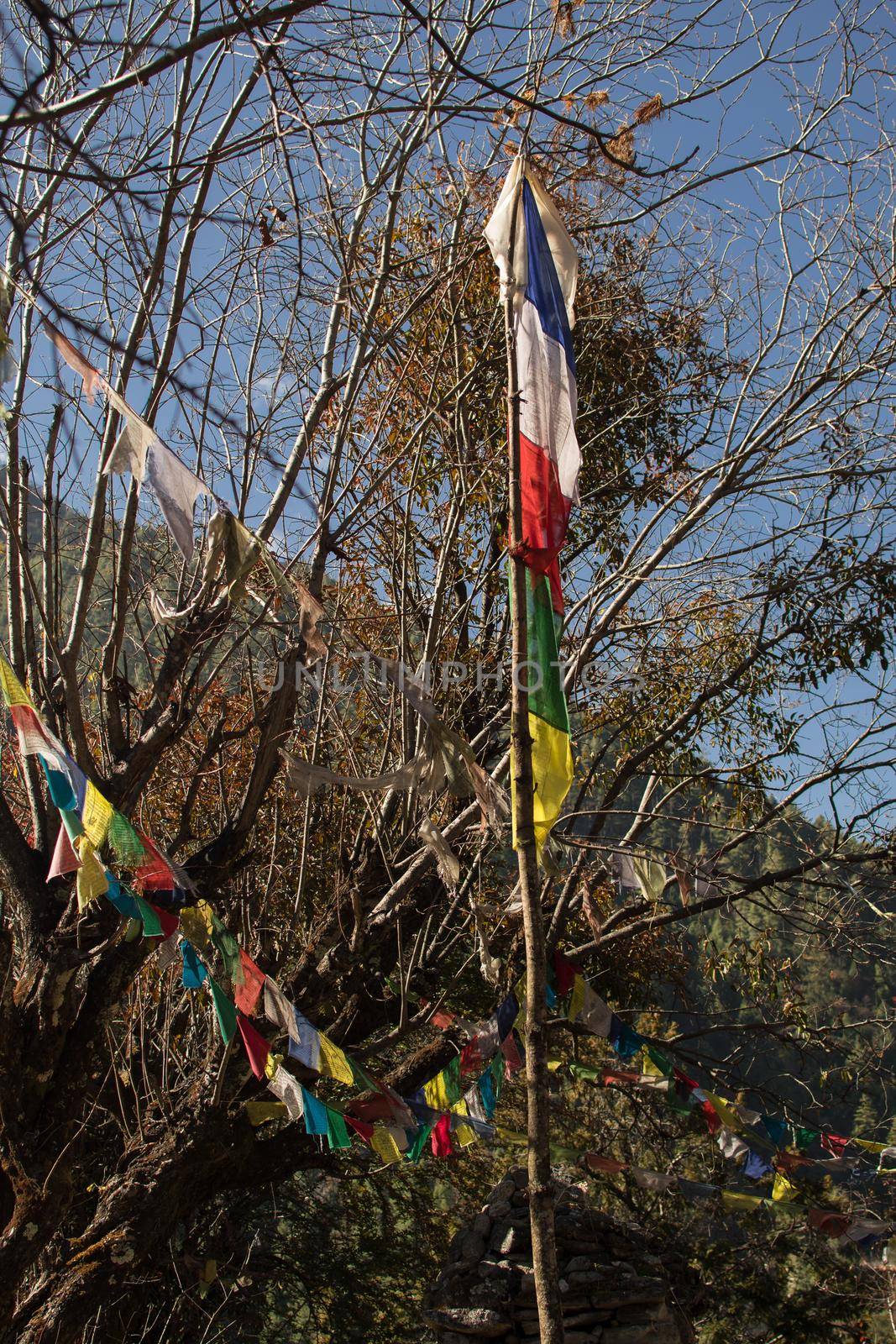 Colorful buddhist prayer flags hanging, blowing in the wind by the mountains