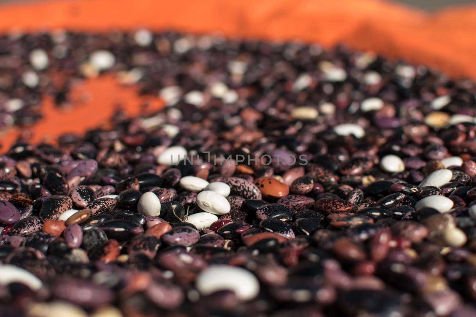 Assortment of colorful beans being dried in the sun on an orange tarp