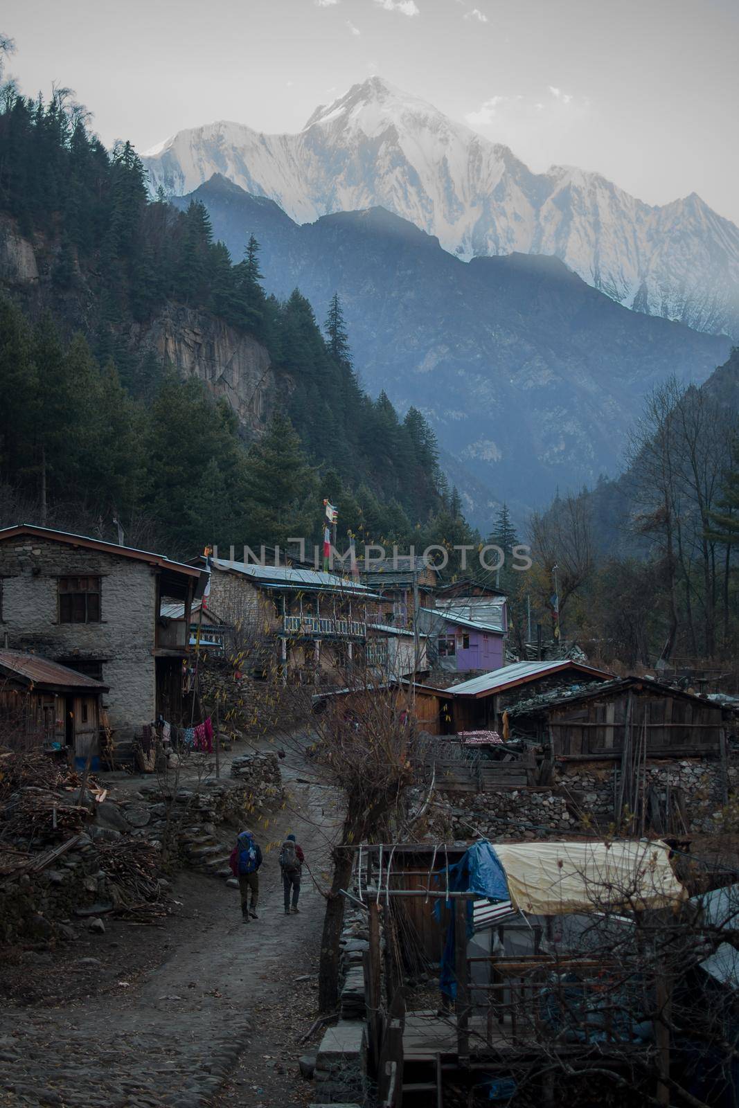 Two hikers trekking through nepalese mountain village, Annapurna circuit, Himalaya, Nepal, Asia