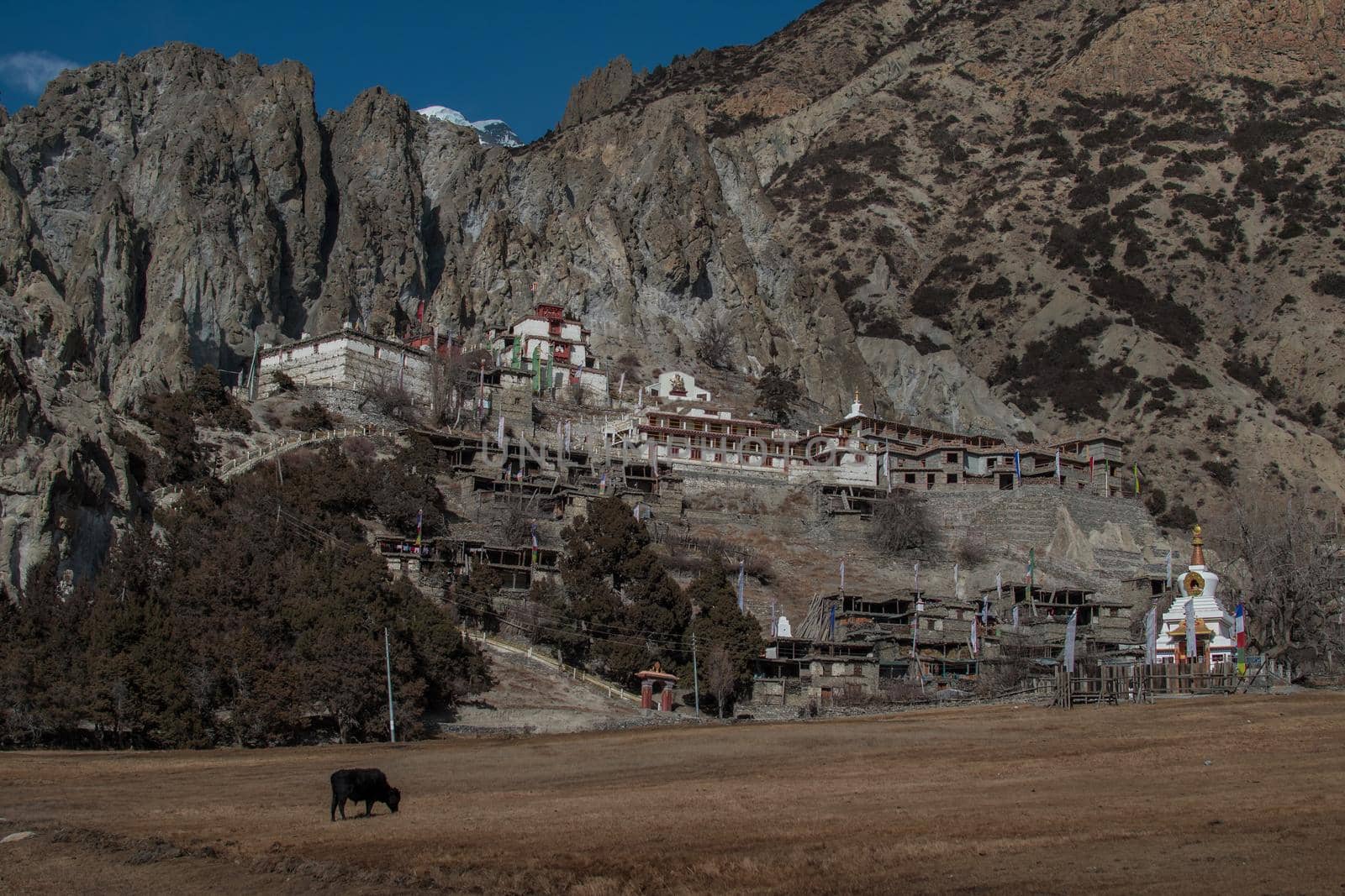 Buddhist monastery in the nepalese mountains, trekking along Annapurna circuit