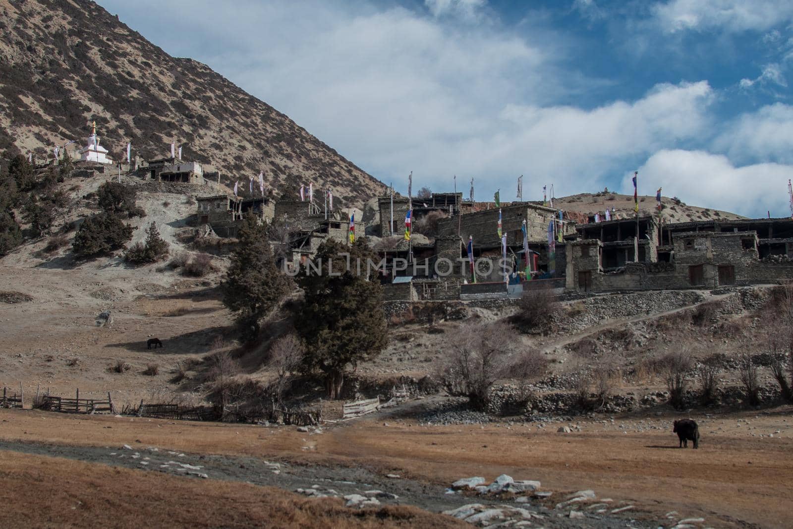 Buddhist monastery in the nepalese mountains, trekking along Annapurna circuit