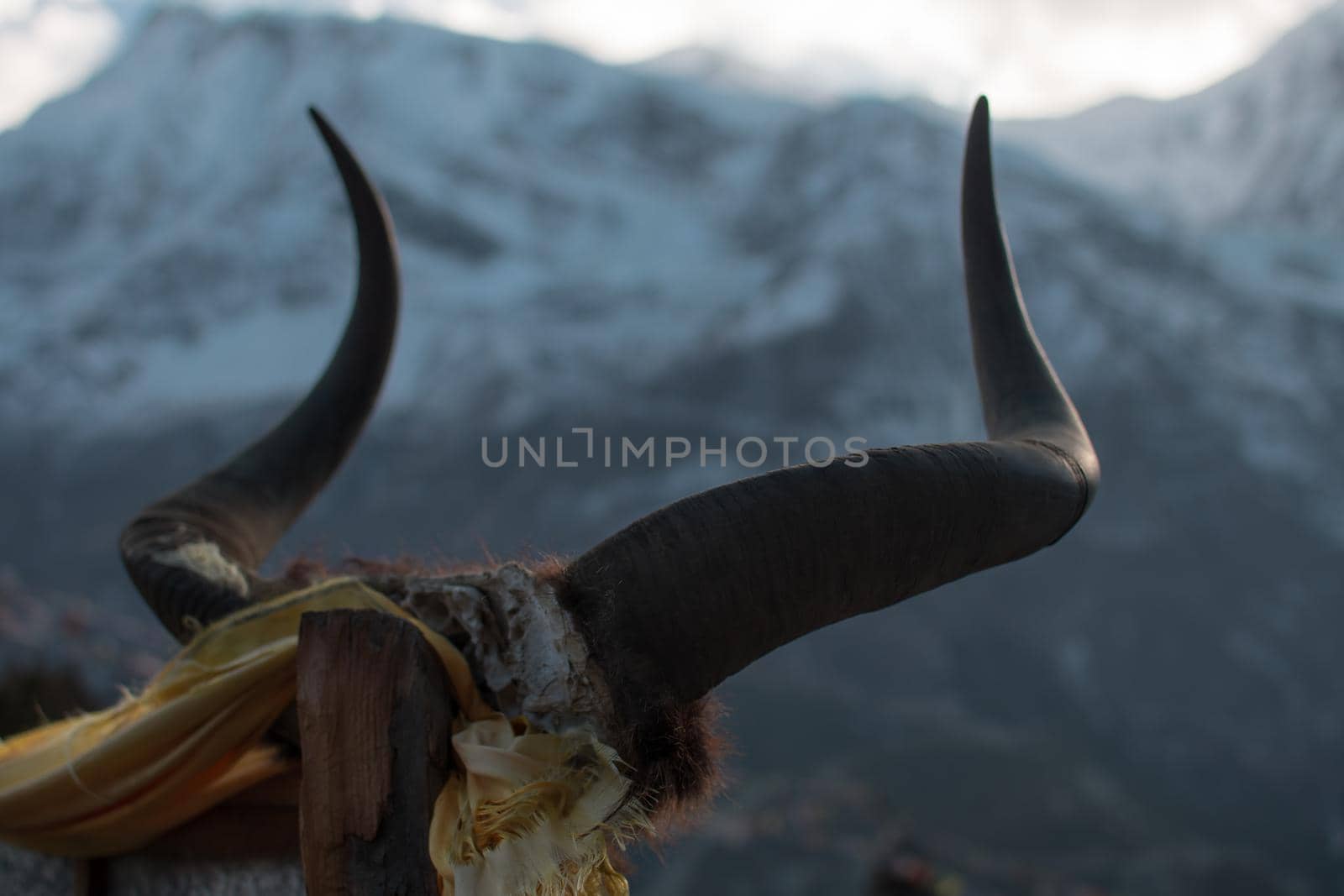 Animal horns on a stick in front of a snowy mountain with bright sun