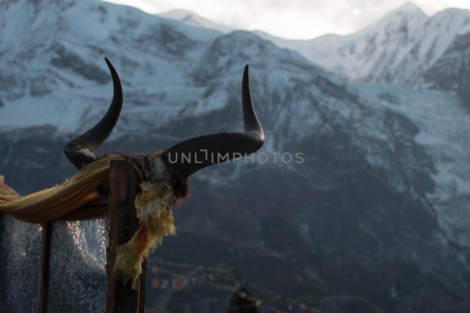 Animal horns on a stick in front of a snowy mountain with bright sun