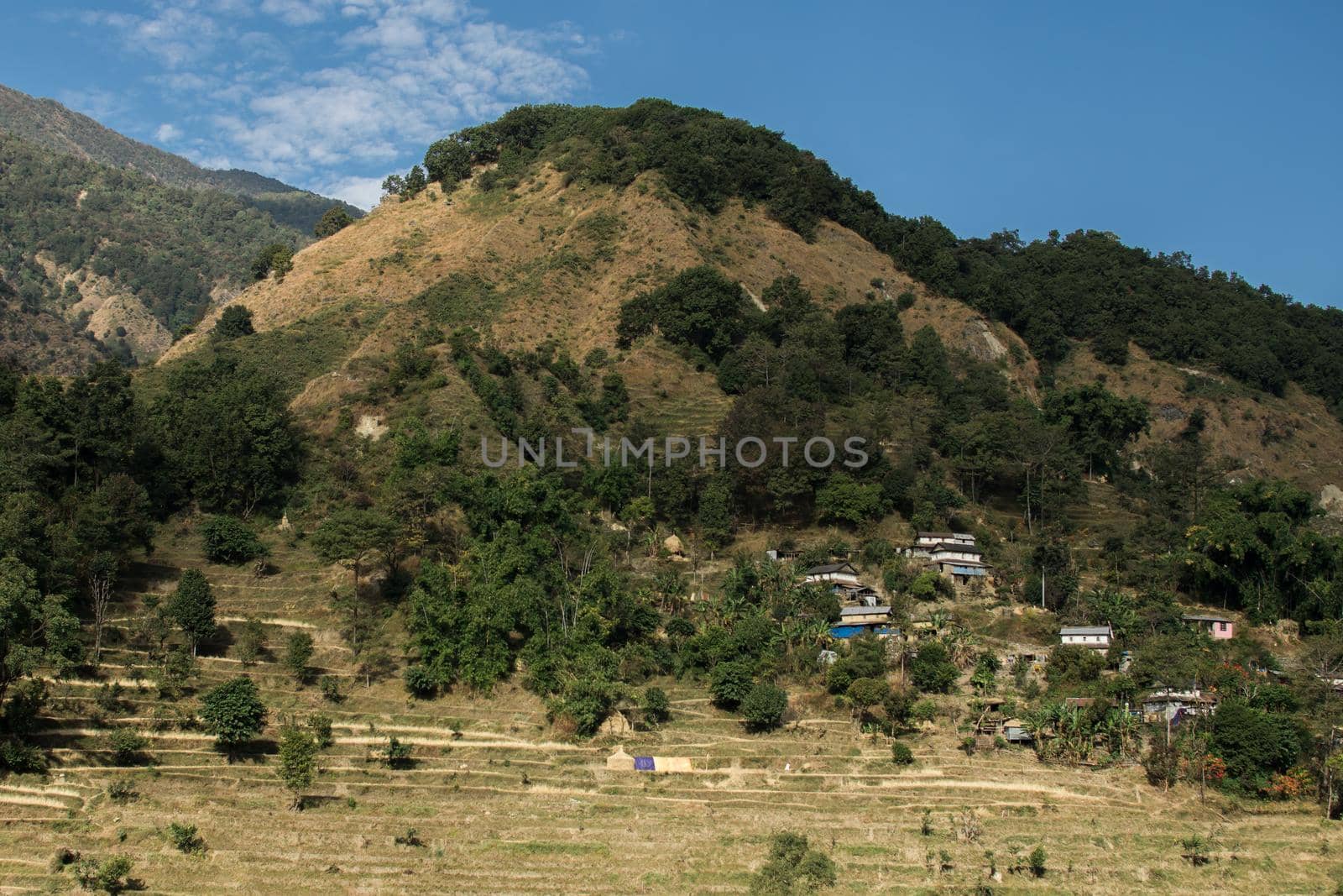 Village by rice fields on a hillside at Annapurna circuit, Nepal