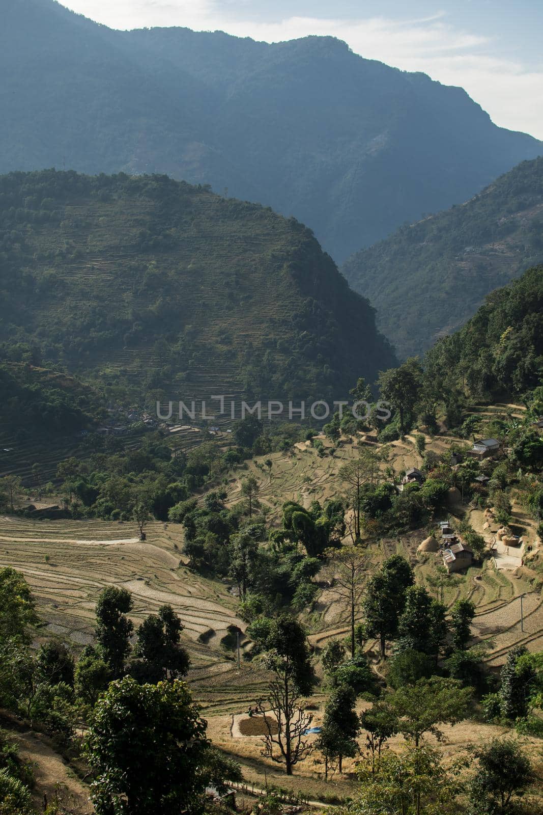 View over huts and terraced rice fields by arvidnorberg