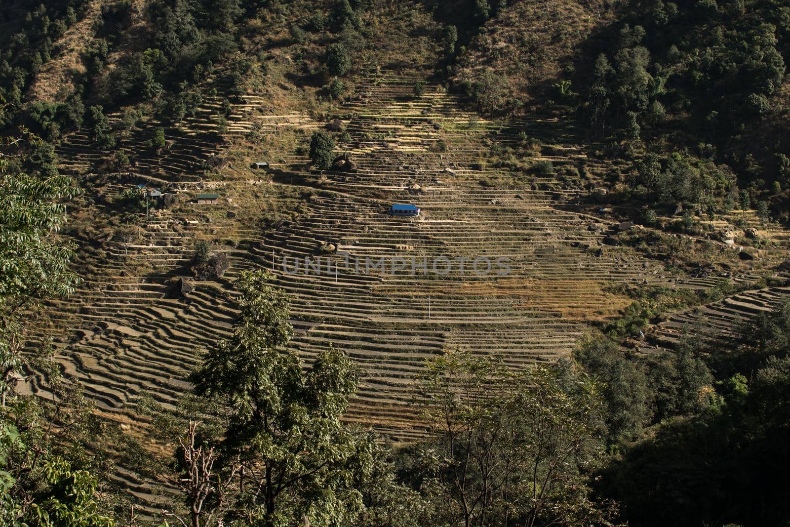 View over huts and terraced rice fields at Annapurna circuit in Nepal