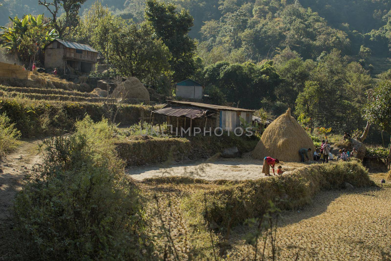 Family at a rural farm in the nepalese mountains, Annapurna circuit