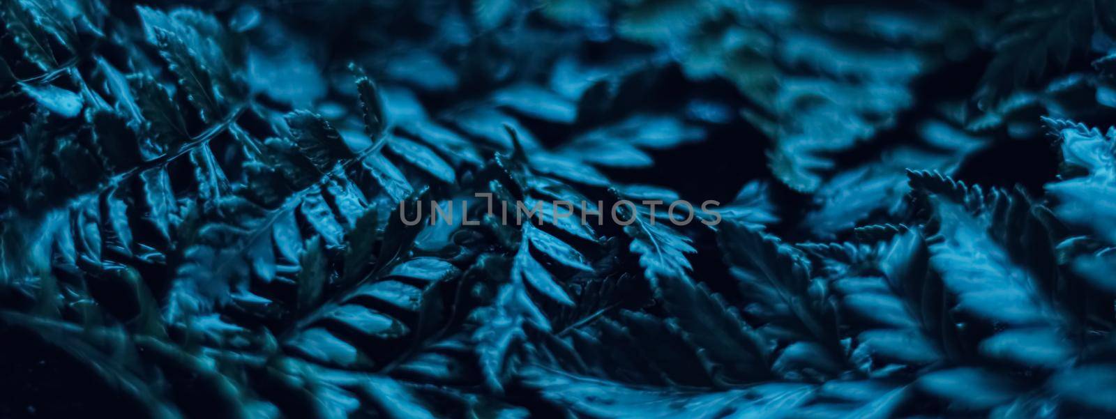 Blue plant leaves at night as surreal botanical background, minimal design by Anneleven