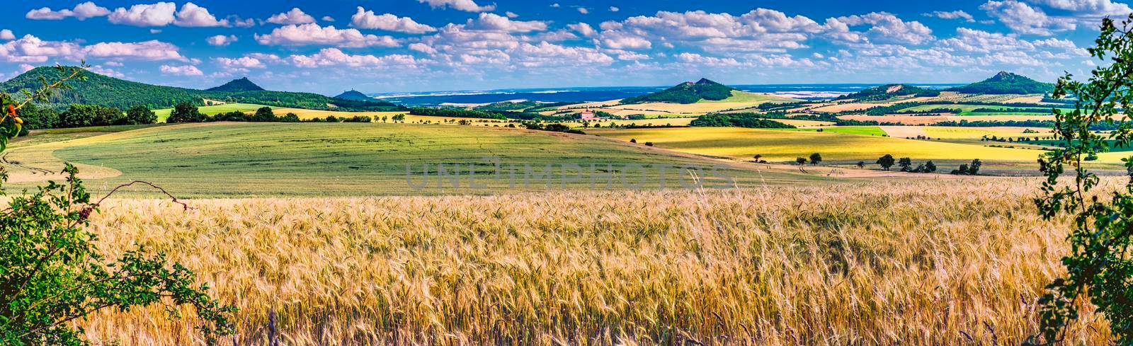 Panoramic view of the summer landscape of the Czech Middle Mountains/Czech Republic/