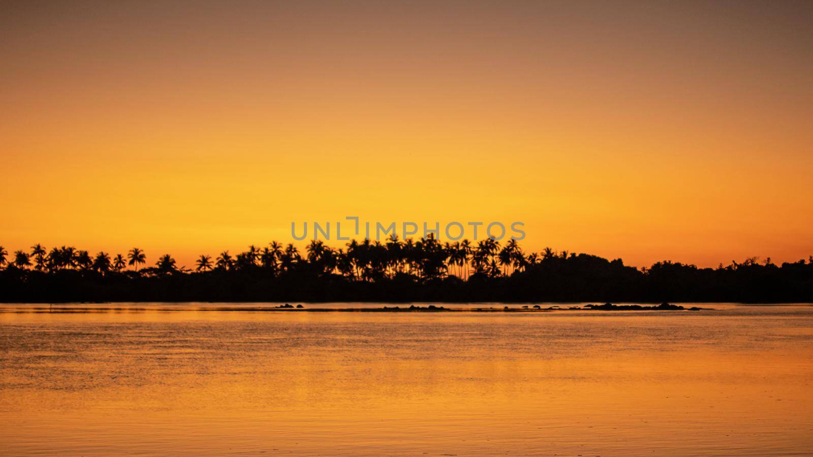 A bright orange sunset sky reflecting in the calm ocean with palm tree silhouettes in the background, Ngwesaung, Irrawaddy, western Myanmar