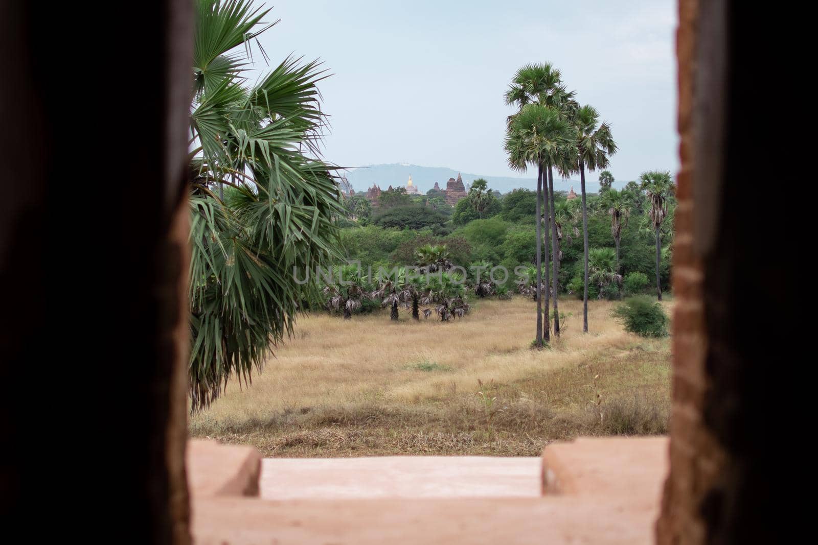 BAGAN, NYAUNG-U, MYANMAR - 2 JANUARY 2020: View from inside a pagoda over a few historical temples, a field and a forest