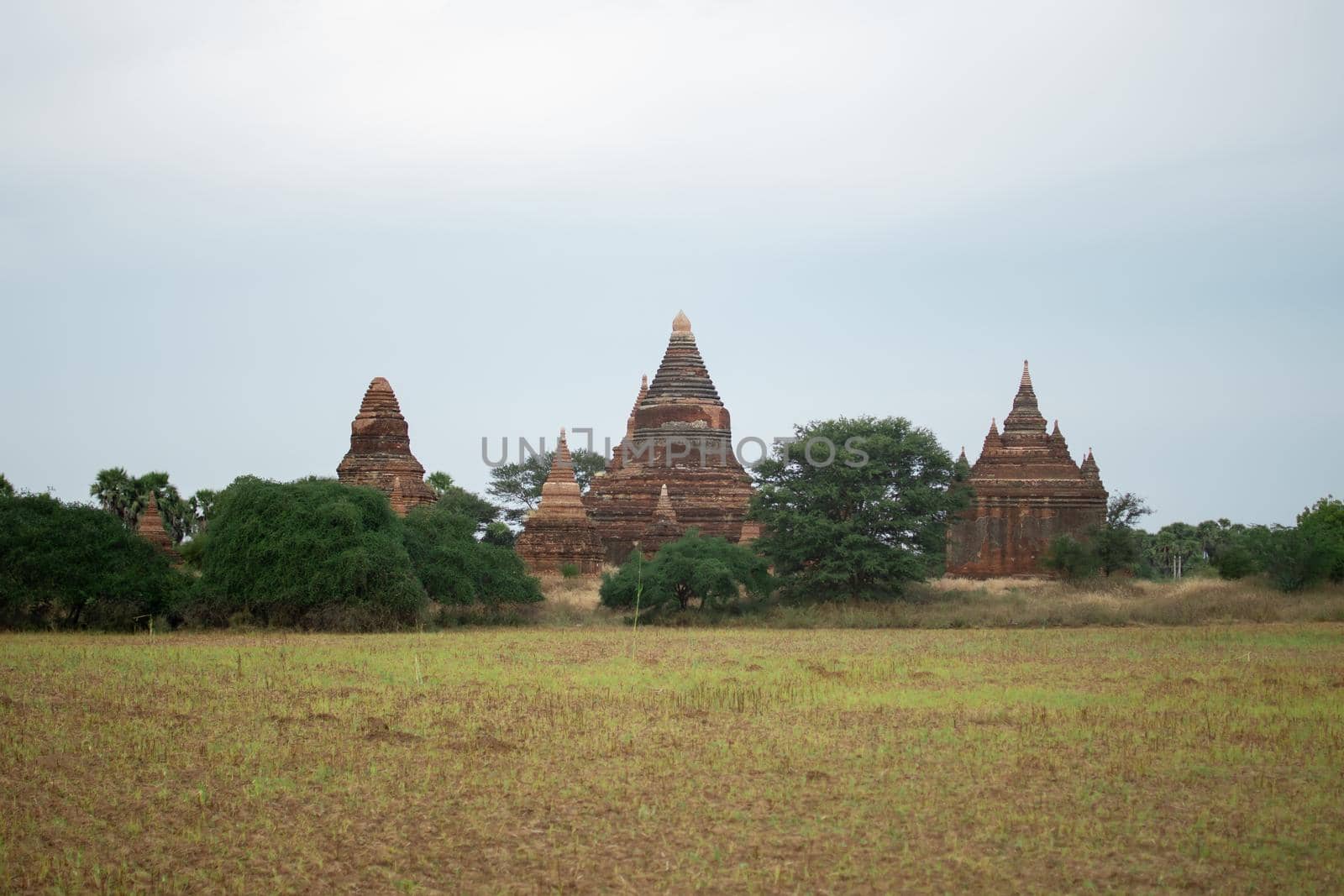 BAGAN, NYAUNG-U, MYANMAR - 2 JANUARY 2020: A few historical and religious pagoda temples from the old Pagan kingdom by a big field