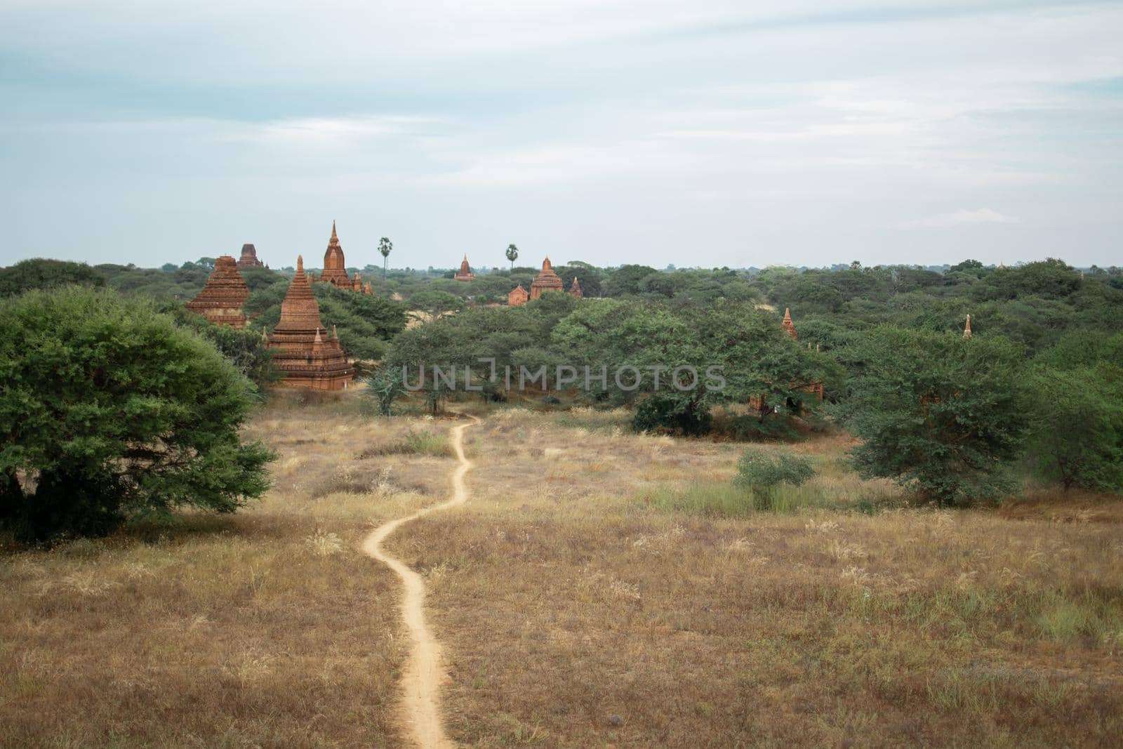 BAGAN, NYAUNG-U, MYANMAR - 2 JANUARY 2020: A dirt rail leading towards the historical buddhist temples in the distance