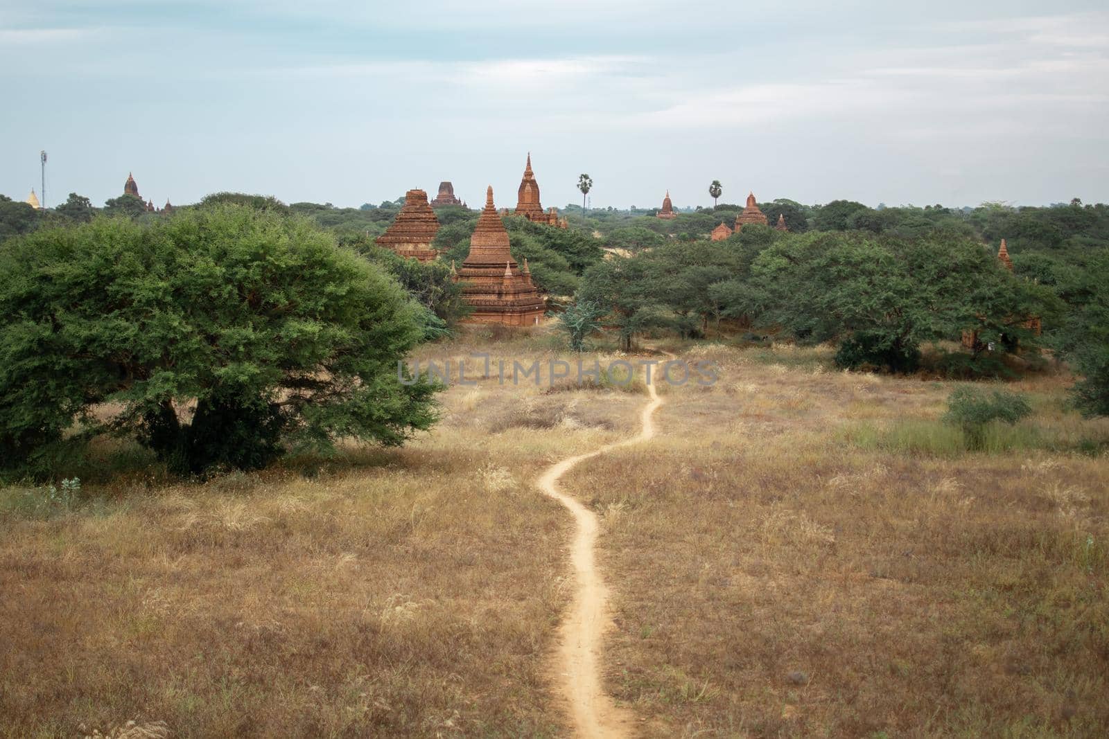 BAGAN, NYAUNG-U, MYANMAR - 2 JANUARY 2020: A dirt rail leading towards the historical buddhist temples in the distance