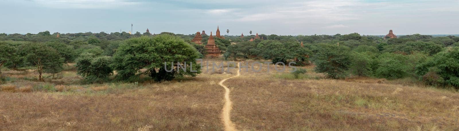 A trail leading towards buddhist temples in Bagan, Myanmar by arvidnorberg