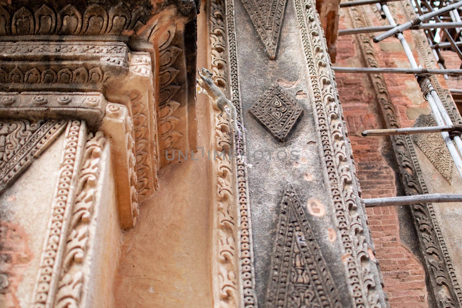 A small squirrel jumping up high on a decorated historic temple wall in Bagan, Myanmar