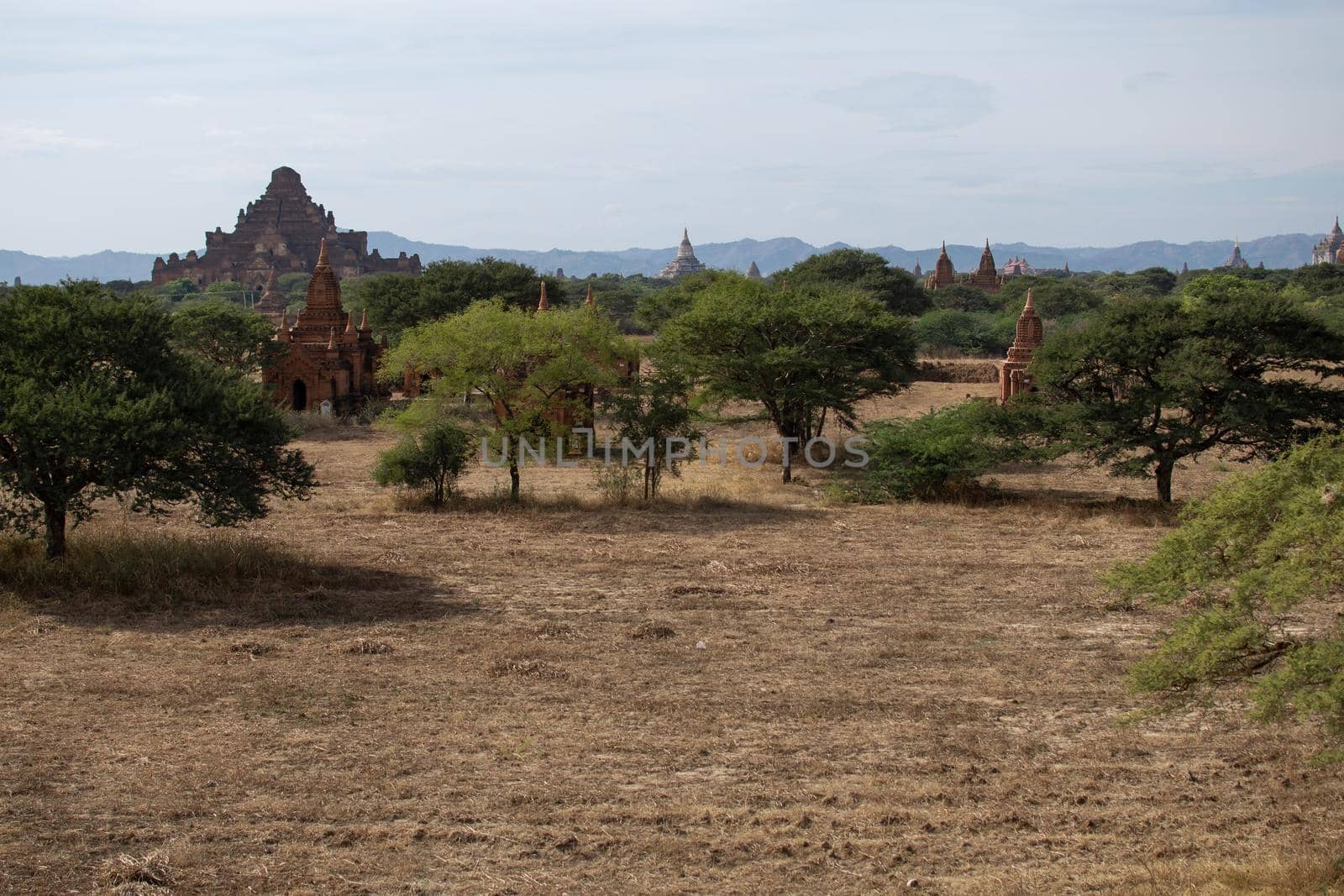 BAGAN, NYAUNG-U, MYANMAR - 3 JANUARY 2020: Several old and historical temple pagodas and green vegetation in the distance from an open dry grass and hay field