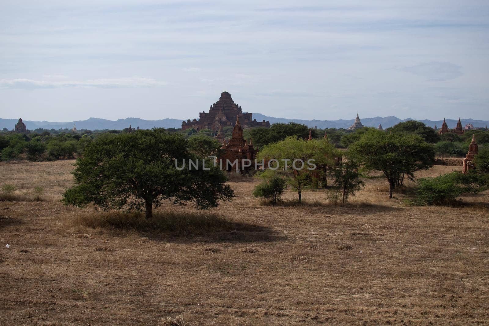 BAGAN, NYAUNG-U, MYANMAR - 3 JANUARY 2020: Several old and historical temple pagodas and green vegetation in the distance from an open dry grass and hay field