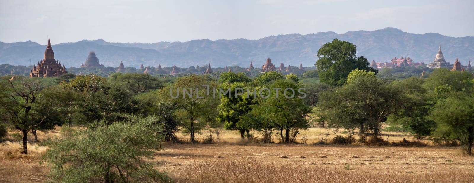 Old and historical temples peaking up above the trees in the distance by arvidnorberg