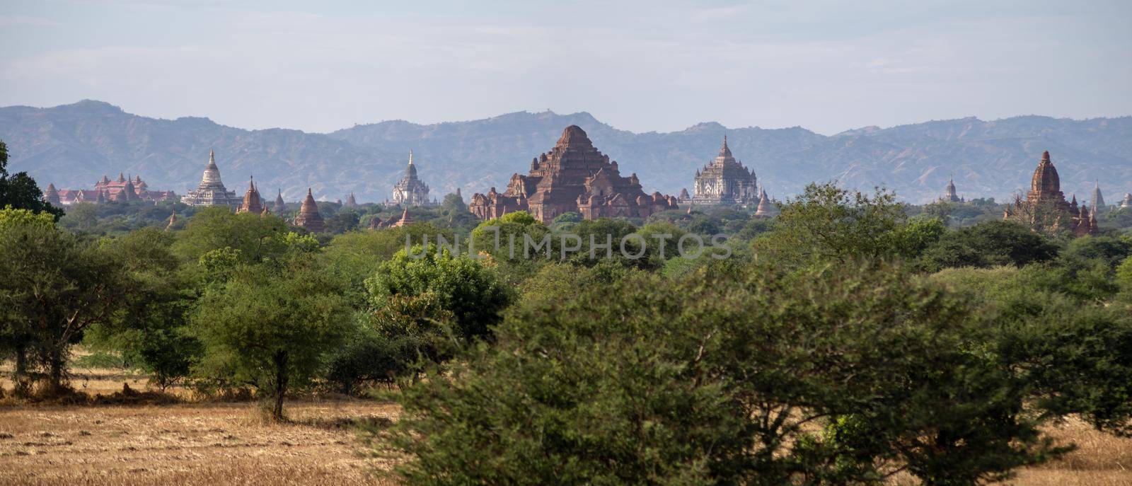 Old and historical temples peaking up above the trees in the distance by arvidnorberg