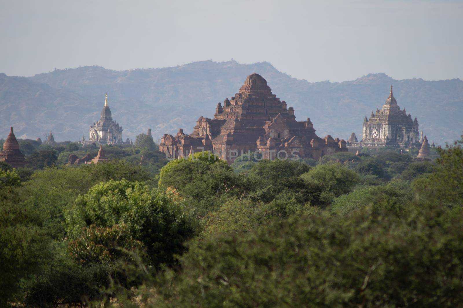 BAGAN, NYAUNG-U, MYANMAR - 3 JANUARY 2020: The top of old and historical temples peaking out above the tree vegetation in the distance
