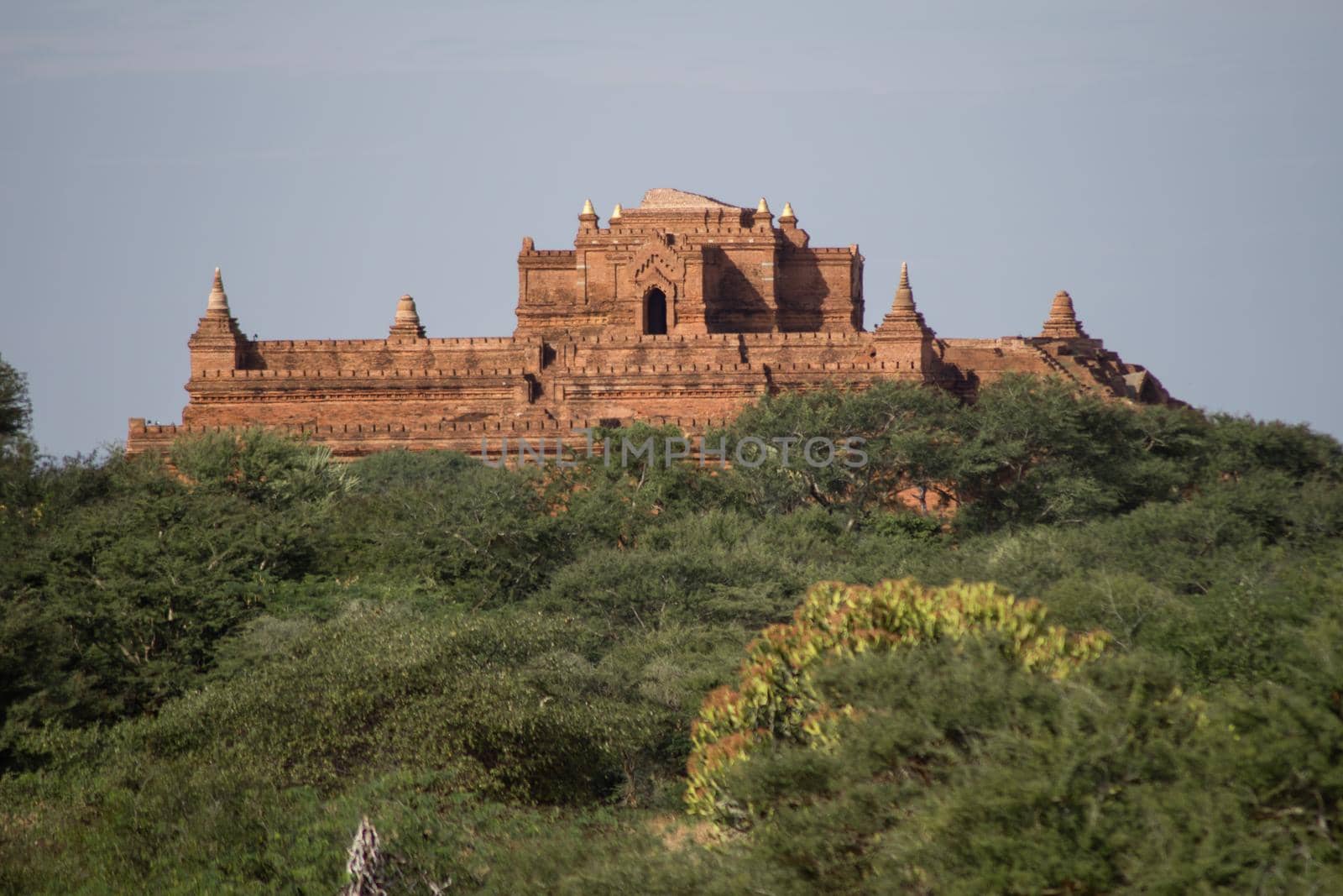 BAGAN, NYAUNG-U, MYANMAR - 3 JANUARY 2020: A huge old and historical temple pagoda upon a hill above the tree vegetation