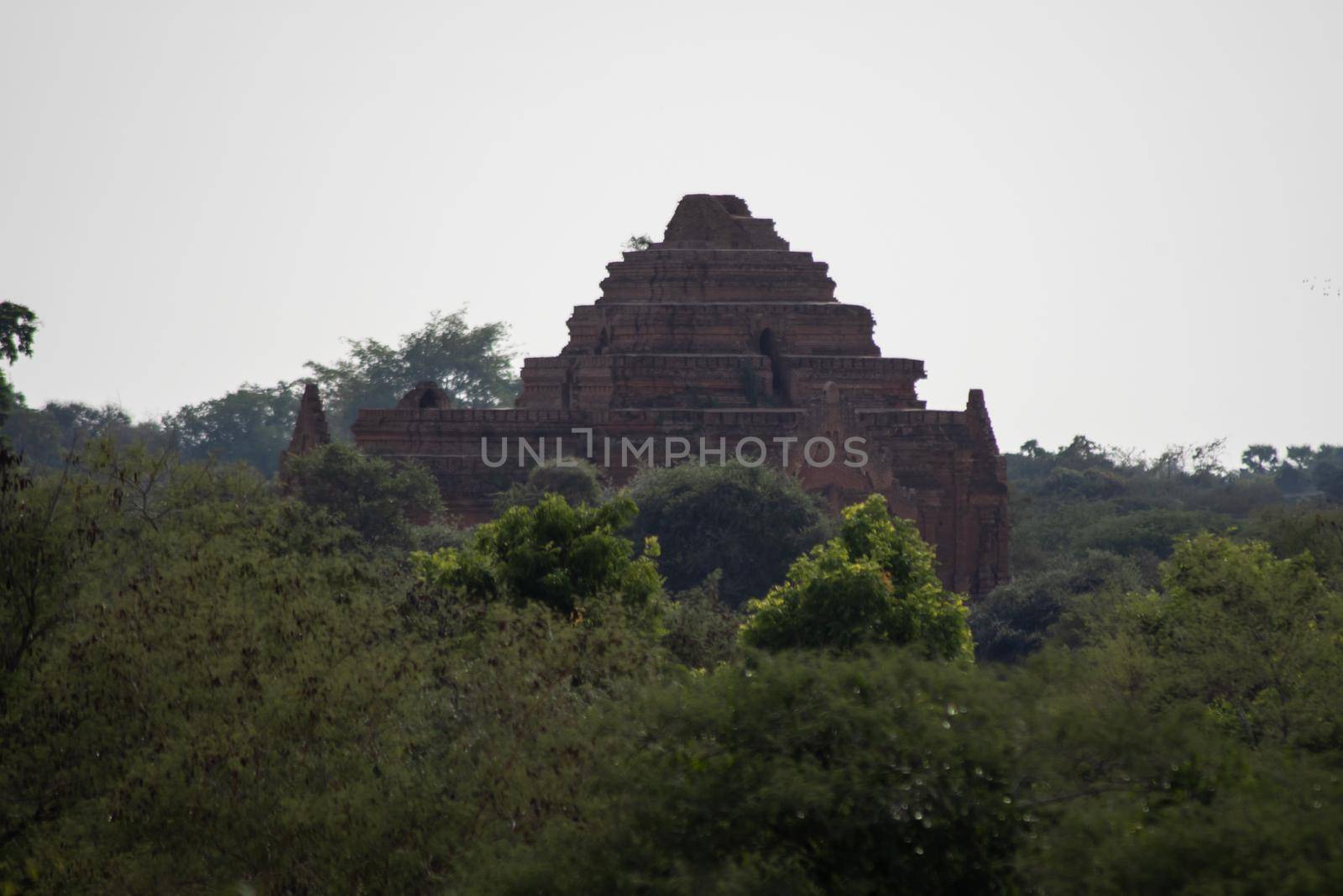 BAGAN, NYAUNG-U, MYANMAR - 3 JANUARY 2020: The top of an old and historical temple peaking out above the tree vegetation in the distance