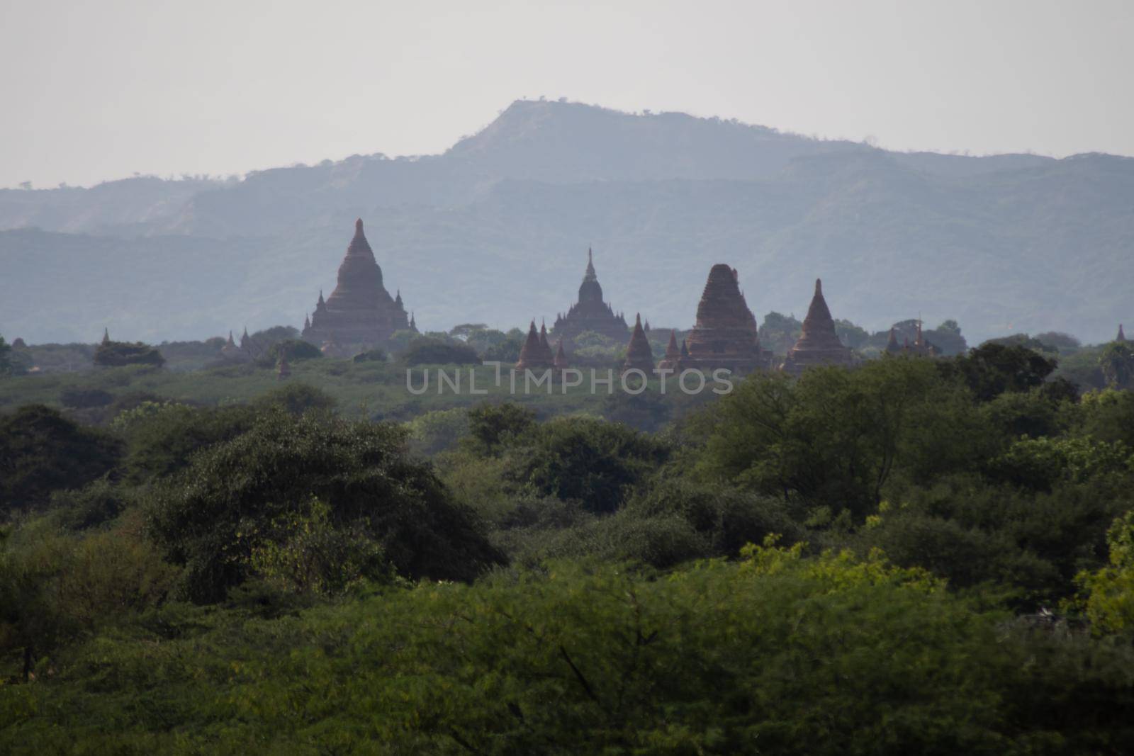 BAGAN, NYAUNG-U, MYANMAR - 3 JANUARY 2020: The top of old and historical temples peaking out above the tree vegetation in the distance