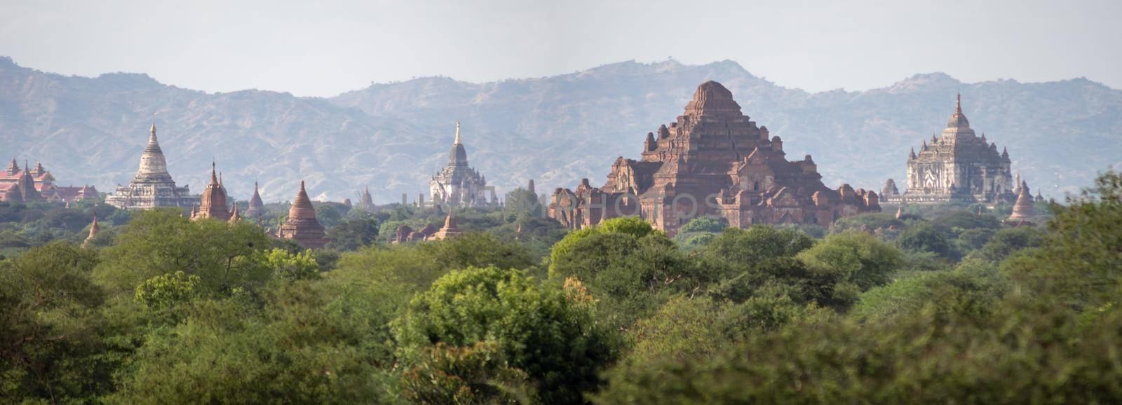 BAGAN, NYAUNG-U, MYANMAR - 3 JANUARY 2020: The top of old and historical temples peaking out above the tree vegetation in the distance