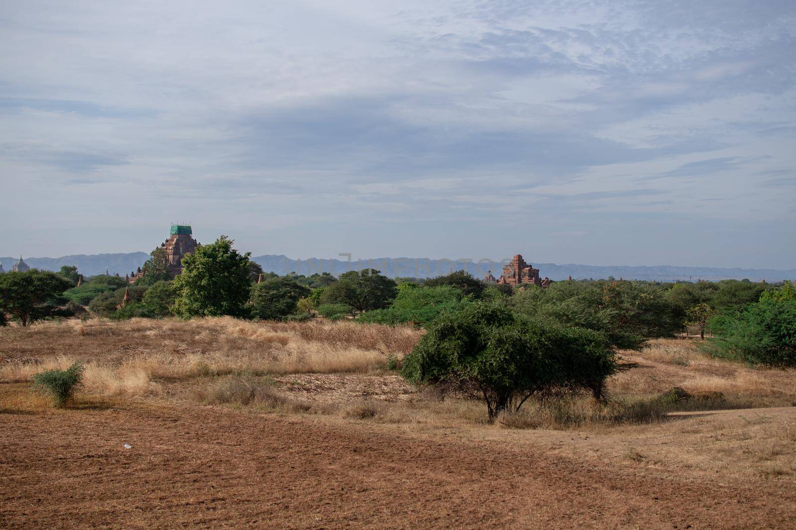 BAGAN, NYAUNG-U, MYANMAR - 3 JANUARY 2020: The top of old and historical temples peaking out above the tree vegetation in the distance from a dry grass field