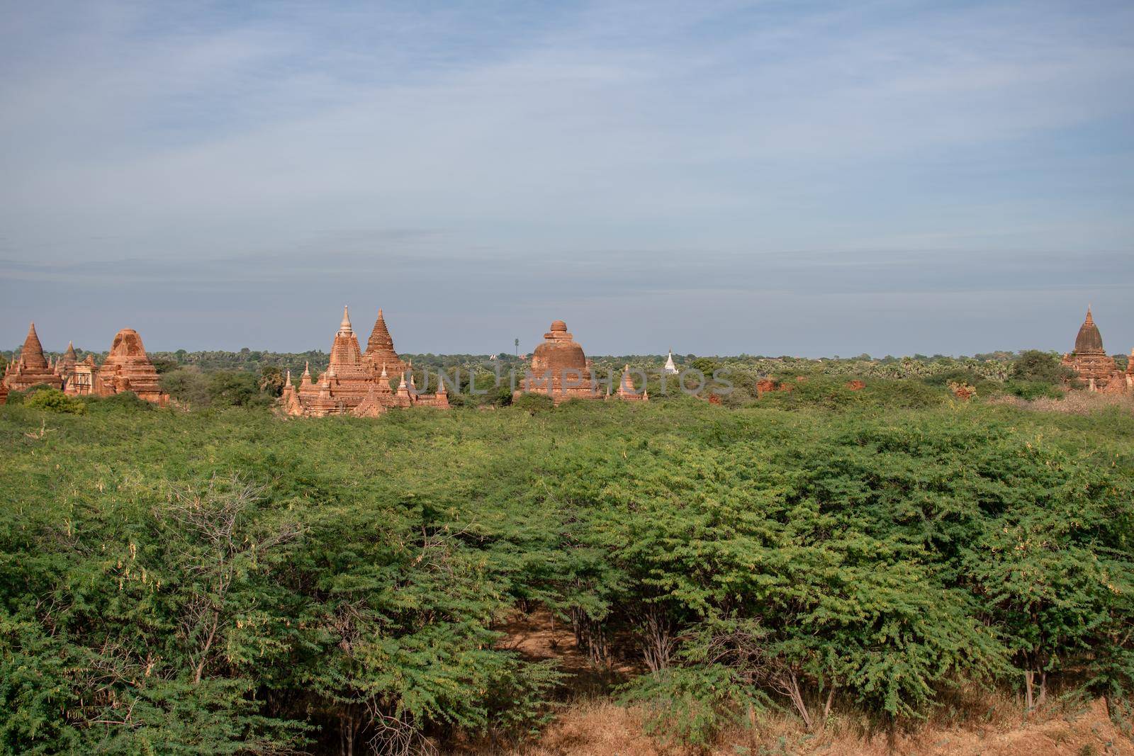 BAGAN, NYAUNG-U, MYANMAR - 3 JANUARY 2020: The top of old and historical temples peaking out above the tree vegetation in the distance