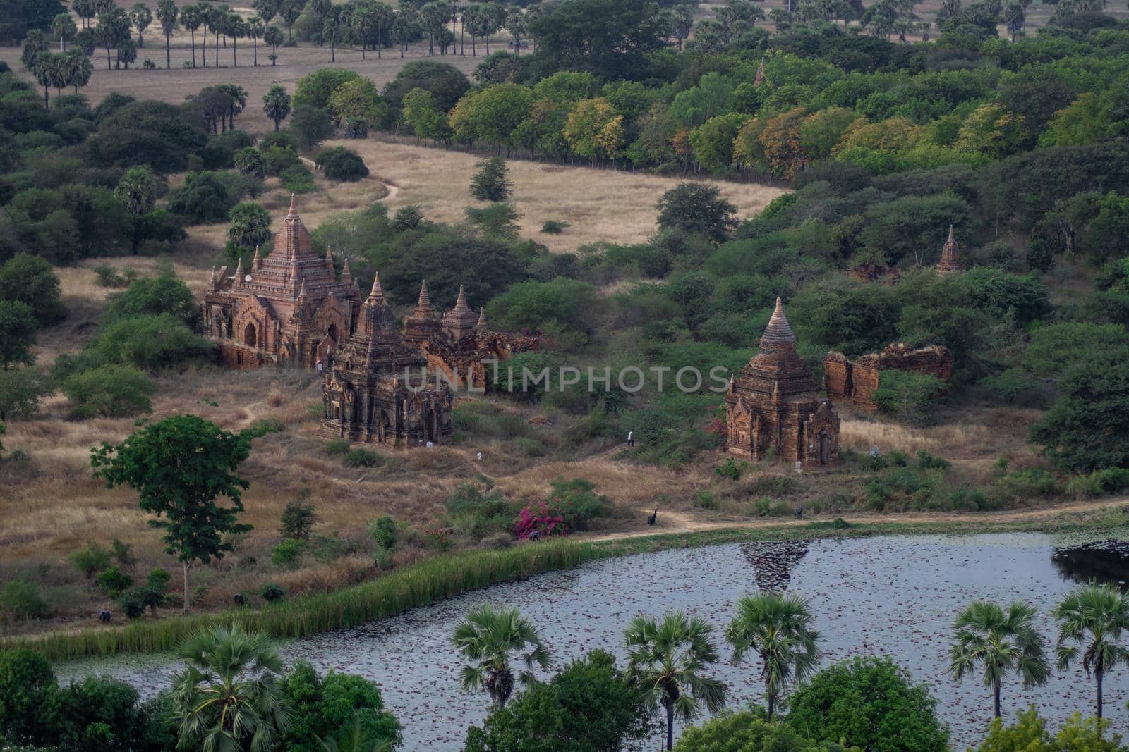 BAGAN, NYAUNG-U, MYANMAR - 3 JANUARY 2020: Looking out over a few old historical and religious temples by a pond from the tall Nan Myint viewing tower