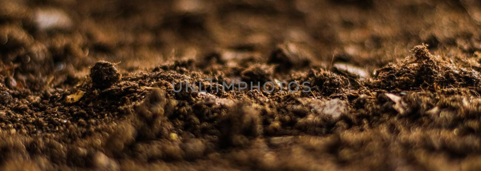 Earth ground texture as background, nature and environment by Anneleven