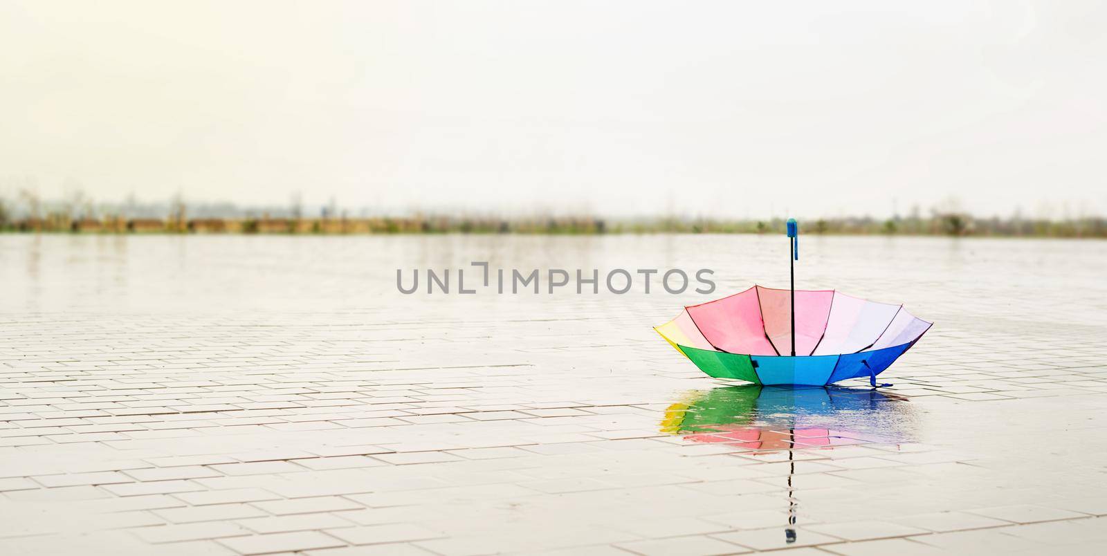 Unused colorful umbrella lying upside down on ground being rained upon. Rainbow colored umbrella lying in puddles on the wet street ground. Copy space