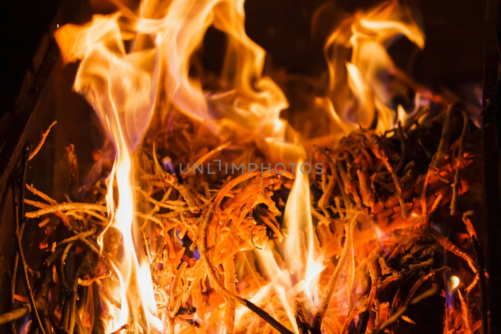 Flame of fire in the dark. The fire burns coals and tree branches.