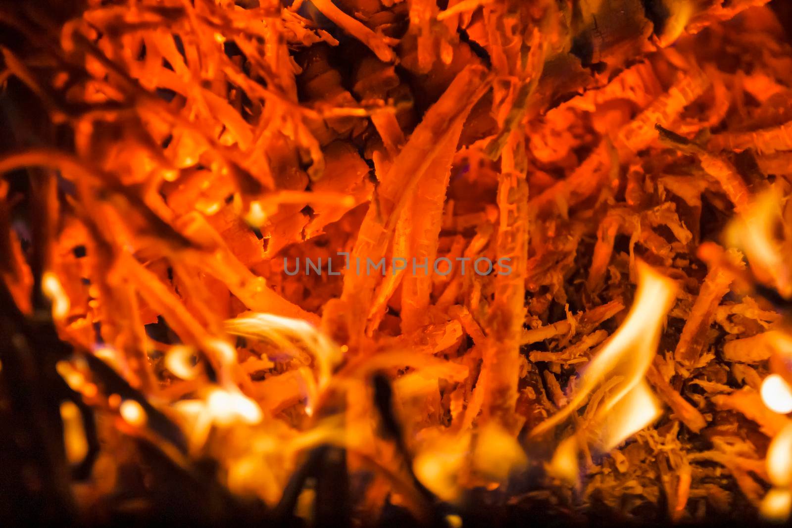Flame of fire in the dark. The fire burns coals and tree branches.