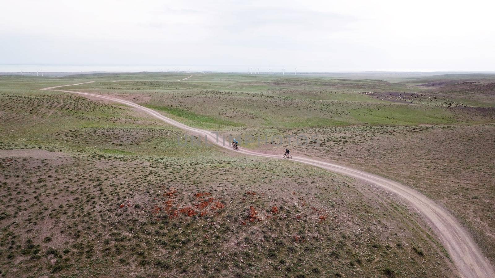 A group of cyclists rides along the windmills. by Passcal