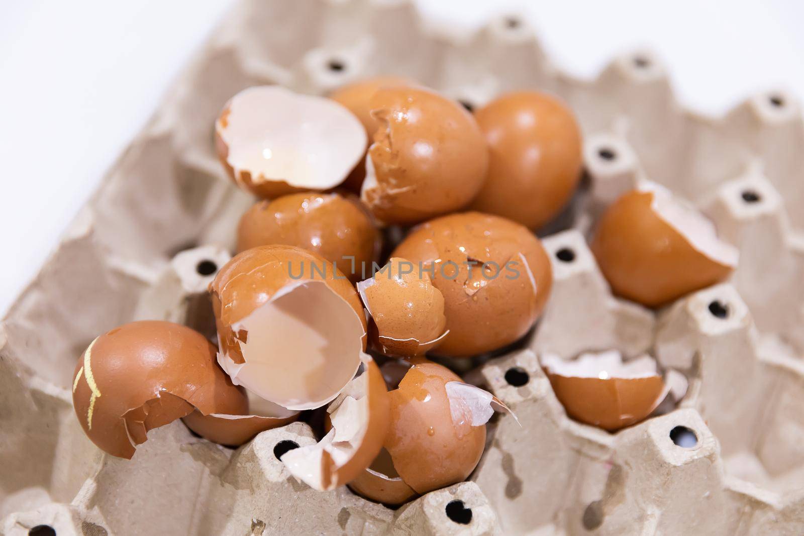 Chicken eggshell fragments by smuay